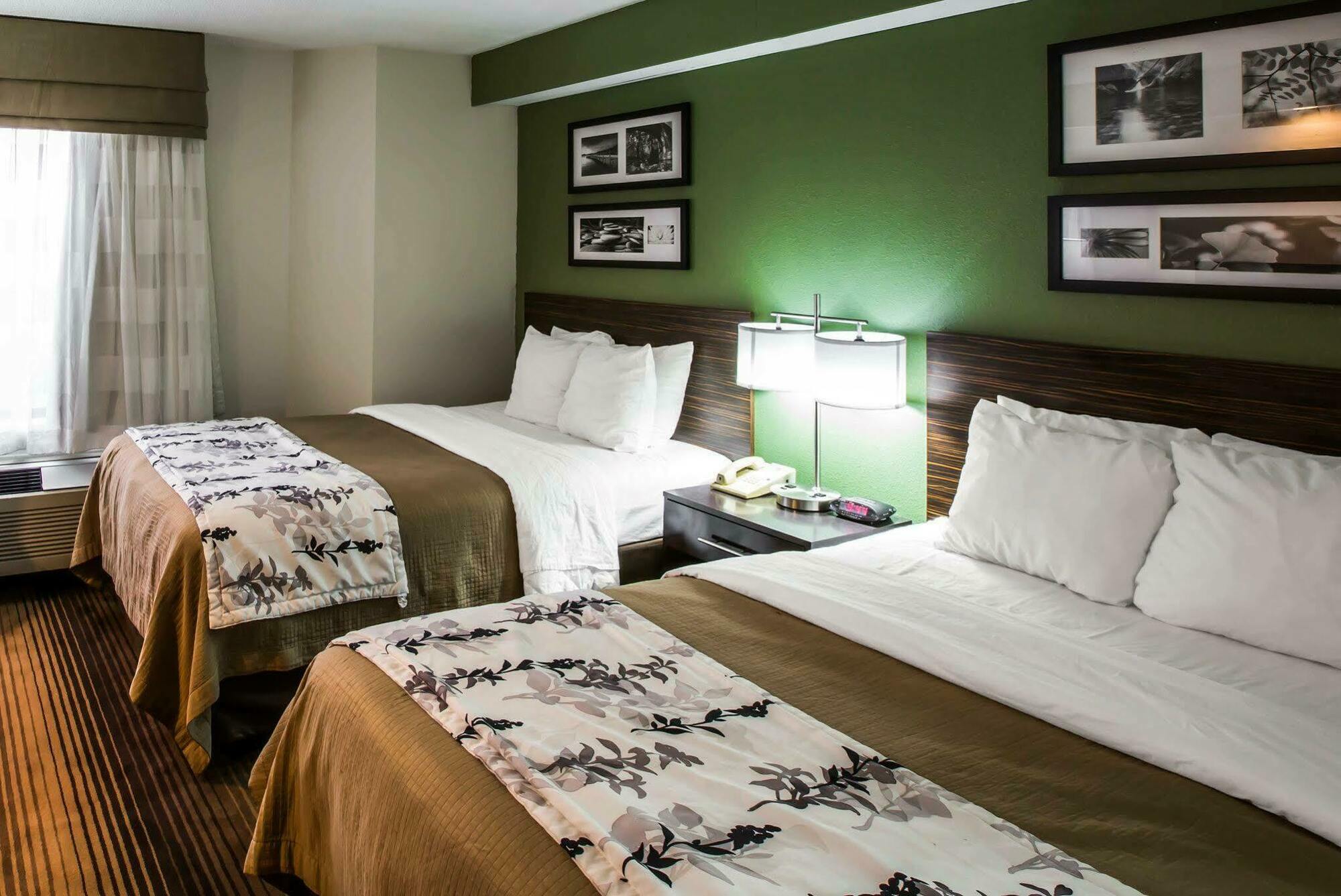 Sleep Inn&Suites Kingsport TriCities Airport Exterior foto